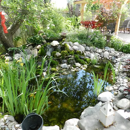 A Garden Stroll Bed & Breakfast-3